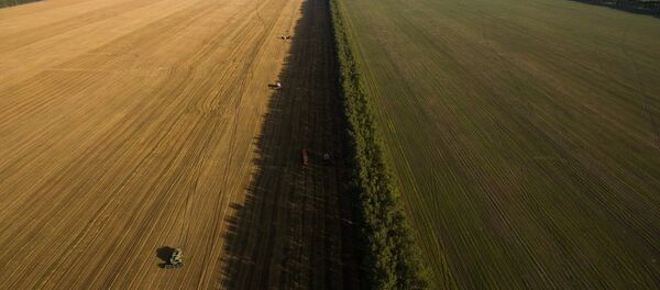哈尔滨东金集团将在俄投资开发远东一号现代农业项目 - 俄罗斯卫星通讯社