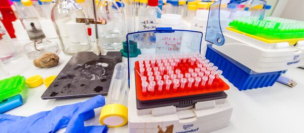 俄罗斯和中国将共同开发生物技术 - 俄罗斯卫星通讯社