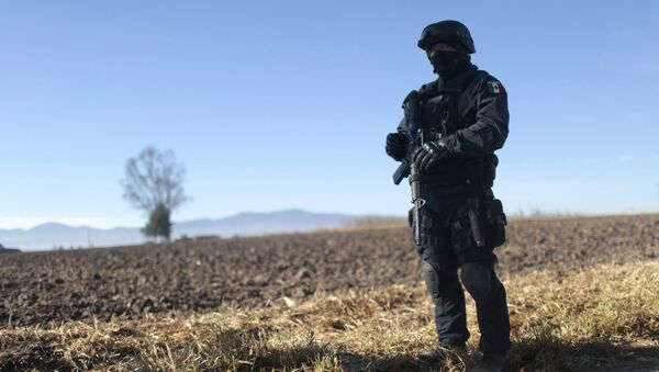 Офицер мексиканской полиции - 俄羅斯衛星通訊社