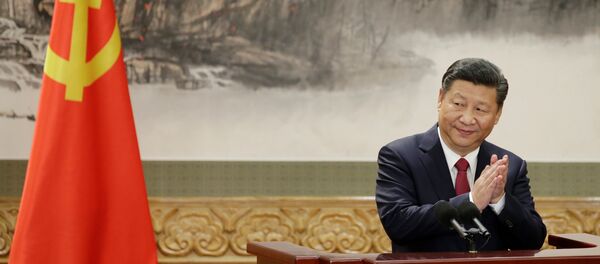 中国主席习近平 - 俄罗斯卫星通讯社