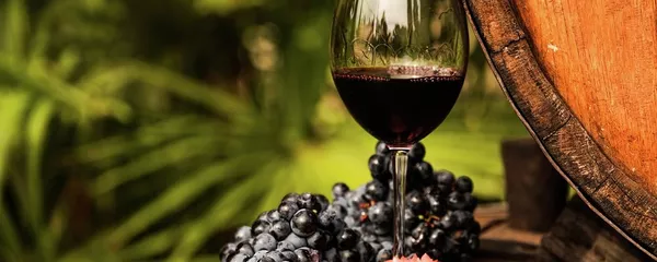 科學家：巧克力和紅酒有抗毒功效 - 俄羅斯衛星通訊社