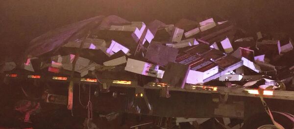 美国一起交通事故导致超过百万美元的蜜蜂死亡 - 俄罗斯卫星通讯社