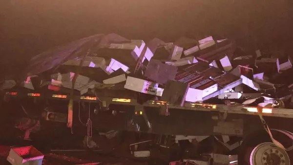 美國一起交通事故導致超過百萬美元的蜜蜂死亡 - 俄羅斯衛星通訊社