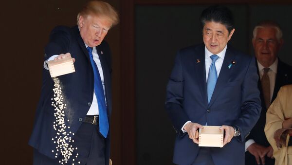 特朗普与日本首相一起喂锦鲤时出洋相 - 俄罗斯卫星通讯社