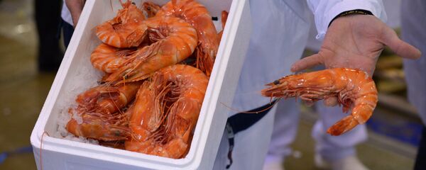 厄瓜多尔进口冻虾检出新冠病毒,相关企业产品进口暂停 厄瓜多尔进口冻虾检出新冠病毒,相关企业产品进口暂停 - 俄罗斯卫星通讯社