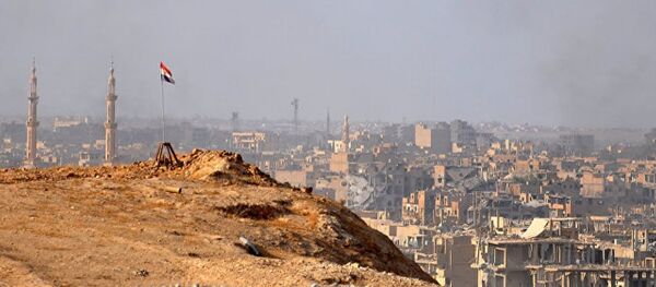 俄國防部評論法外長言論：粉碎“伊斯蘭國”首先是敘利亞自己的功勞 - 俄羅斯衛星通訊社