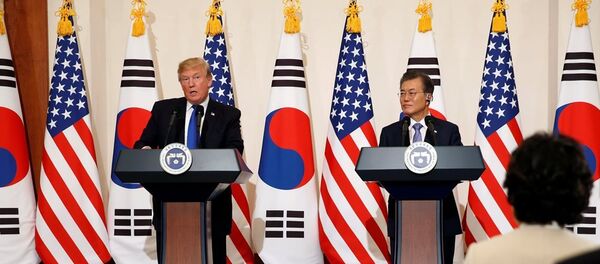Trump arrives in South Korea for the second stop of his five-country trip to Asia - 俄罗斯卫星通讯社