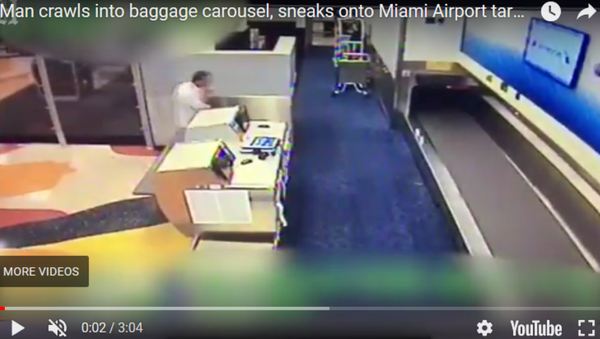 美国迈阿密机场一名乘客通过行李传送带进入机场跑道 - 俄罗斯卫星通讯社