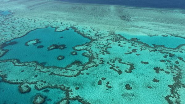 生物學家：澳大利亞沿岸的“藍洞”或正在消失 - 俄羅斯衛星通訊社