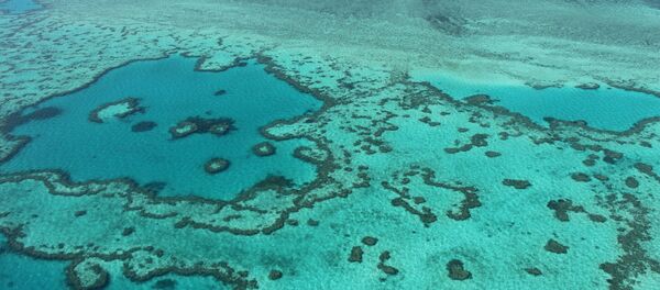 生物學家：澳大利亞沿岸的“藍洞”或正在消失 - 俄羅斯衛星通訊社