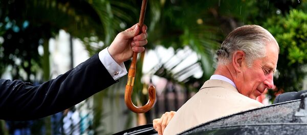 查尔斯王子 - 俄罗斯卫星通讯社