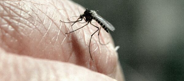 蚊子叮咬致女子心脏停跳 - 俄罗斯卫星通讯社