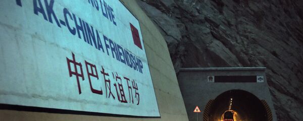 中巴合作 - 俄罗斯卫星通讯社