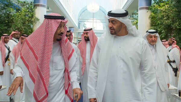 沙特将没收涉腐王子万亿美元资产以改善财政状况 - 俄罗斯卫星通讯社