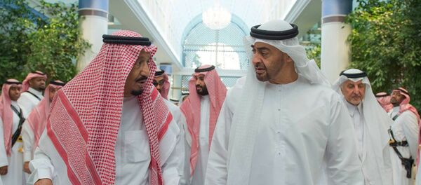 沙特将没收涉腐王子万亿美元资产以改善财政状况 - 俄罗斯卫星通讯社