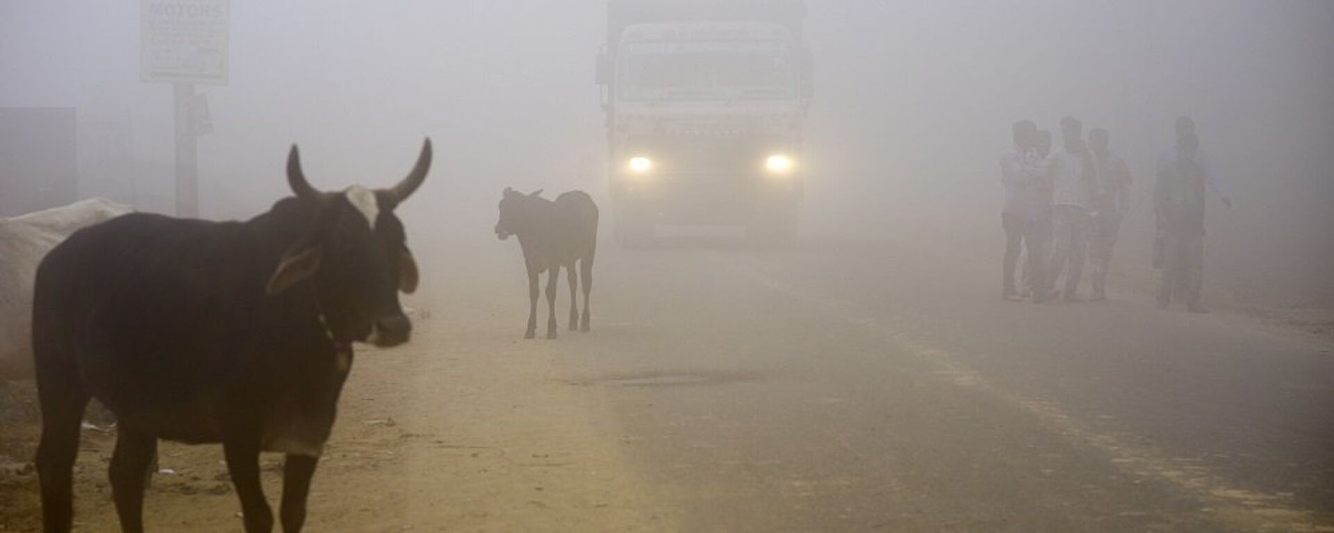 印度 - 俄羅斯衛星通訊社, 1920, 07.11.2024