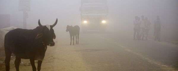 新德里的污染已至最高水平 新德里的污染已至最高水平 - 俄罗斯卫星通讯社