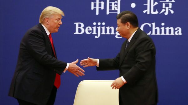 特朗普与习近平 - 俄罗斯卫星通讯社