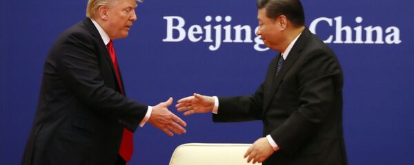 特朗普与习近平 - 俄罗斯卫星通讯社