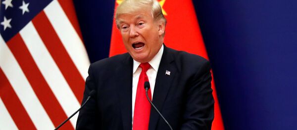 媒体：特朗普拟在不久后的“G20”峰会上与中国签署贸易协议 - 俄罗斯卫星通讯社