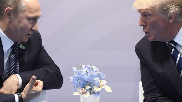 反恐将成为普京和特朗普会面的主要讨论话题 - 俄罗斯卫星通讯社