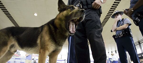 媒体：美国约80%机场未通过安检系统可靠性检查 - 俄罗斯卫星通讯社