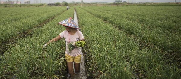 中国计划2019年再脱贫1000万人 - 俄罗斯卫星通讯社