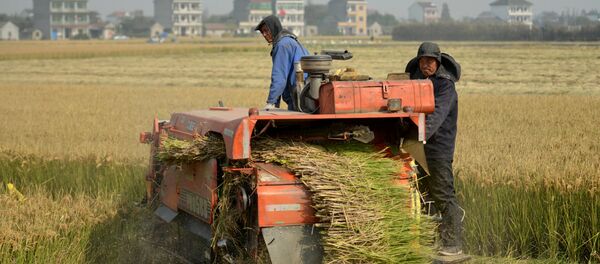按照正式統計數字，現在大約有30%的農戶把土地交給信託管理，總共將近有3200萬公頃的耕地簽有流轉合同。雖然農民工進城務工已經不再像上世紀80年代末和90年代初時一樣踴躍，但湧往城市的民工流依然很大。 - 俄羅斯衛星通訊社