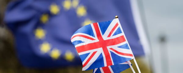 Противники выхода Великобритании из Европейского Союза на улице Лондона - 俄羅斯衛星通訊社