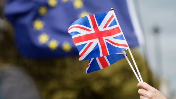 英国首相：英国将退出欧盟关税同盟 - 俄罗斯卫星通讯社