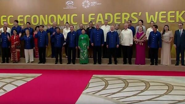 越南APEC峰会期间会晤 - 俄罗斯卫星通讯社