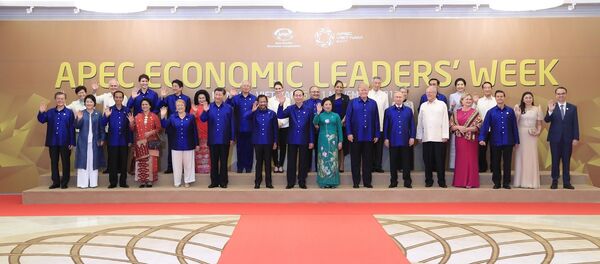 APEC - 俄羅斯衛星通訊社