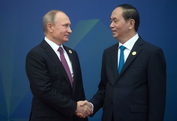 俄联邦普京与越南国家主席在越南岘港市举行“亚太经合组织”峰会期间。 - 俄罗斯卫星通讯社