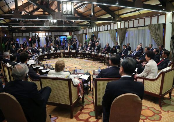 俄聯邦總統在越南峴港市的“亞太經合組織”峰會期間參加亞太經合組織與東南亞聯盟領導人會面 - 俄羅斯衛星通訊社