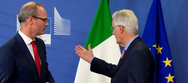 外媒：欧盟正审议北爱尔兰在英国脱欧后获得自治的可能 - 俄罗斯卫星通讯社