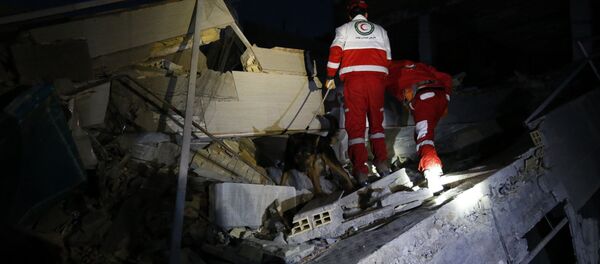 欧盟外长：该联盟愿意协助清除两伊边境地震后果 - 俄罗斯卫星通讯社