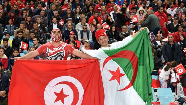 史上首次！4支阿拉伯队伍晋级2018世界杯 - 俄罗斯卫星通讯社