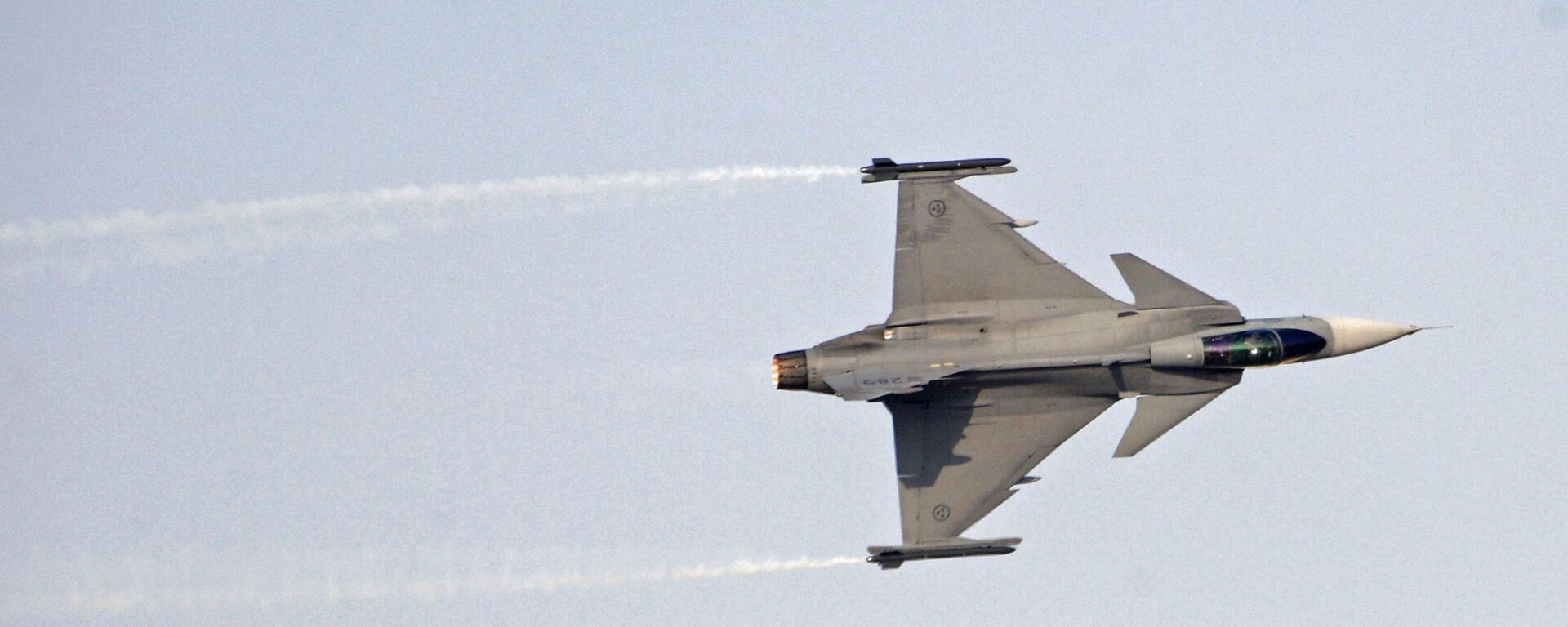 俄驻瑞典大使：瑞典准备重拾向基辅供应“鹰狮”战机问题 - 俄罗斯卫星通讯社, 1920, 28.05.2025