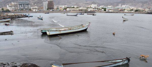 亚丁港口 - 俄罗斯卫星通讯社