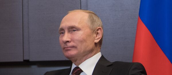 普京与埃尔多安 - 俄罗斯卫星通讯社