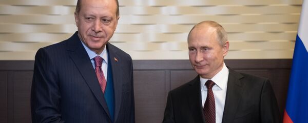 普京致電祝賀埃爾多安再度當選土耳其總統 - 俄羅斯衛星通訊社