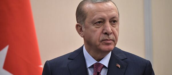 埃尔多安 - 俄罗斯卫星通讯社