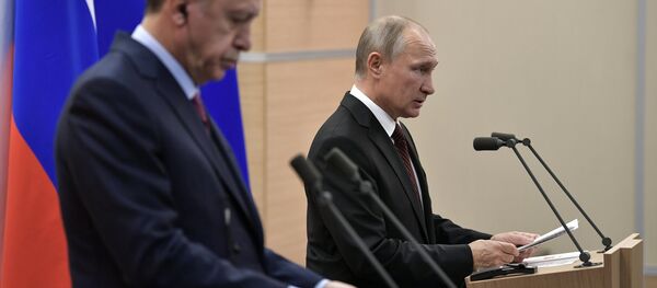 普京與埃爾多安 普京與埃爾多安 - 俄羅斯衛星通訊社