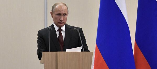 普京与埃尔多安 - 俄罗斯卫星通讯社