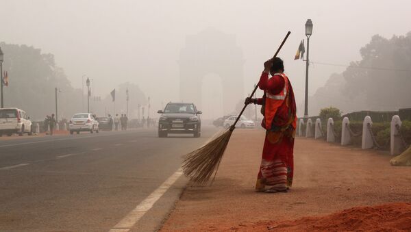 媒体：德里启用首个净化空气雾霾的装置 - 俄罗斯卫星通讯社