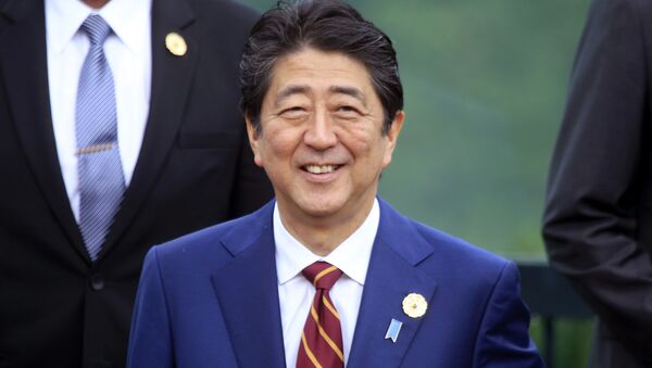 日本首相將參加2018年聖彼得堡國際經濟論壇 - 俄羅斯衛星通訊社