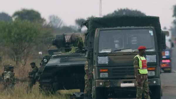 津巴布韋希望加強與俄羅斯的軍事技術合作 - 俄羅斯衛星通訊社