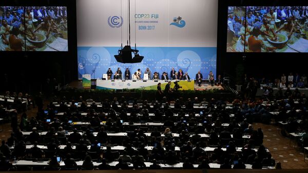 《联合国气候变化框架公约》第23次缔约方大会 - 俄罗斯卫星通讯社