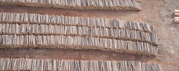 木材 - 俄羅斯衛星通訊社