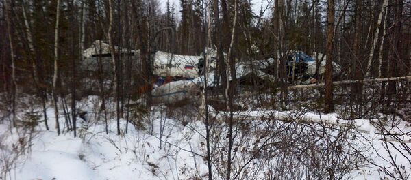 专家：女童如何从600米高空坠落的飞机上生还 - 俄罗斯卫星通讯社
